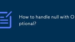 Wie gehe ich mit optionalem mit Null um?