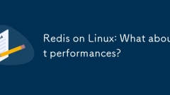 Redis di Linux: Bagaimana dengan persembahan?