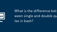 What is the difference between single and double quotes in bash?