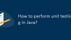 Wie führe ich Unit -Tests in Java durch?