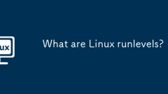 Was sind Linux Runlevels?