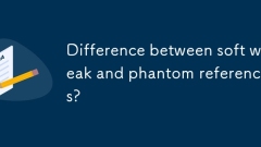 Unterschied zwischen weichen schwachen und Phantomreferenzen?