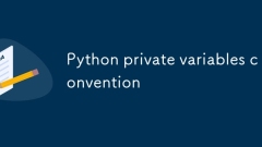Konvensyen Pembolehubah Peribadi Python