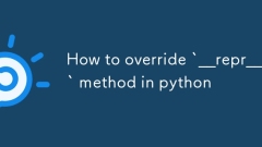 Wie man die __Rep__` -Methode in Python überschreibt