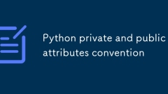 Python Private and Public Attribute Convention