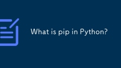 Was ist Pip in Python?