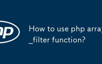 How to use php array_filter function?