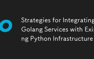 Stratégies d'intégration des services de Golang à l'infrastructure Python existante