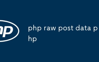 php raw post data php