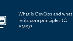 Apakah DevOps dan apakah prinsip terasnya (CAMS)?