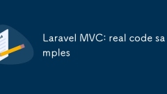 Laravel MVC: real code samples