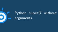 인수가없는 Python` super ()`