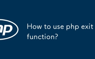 How to use php exit function?