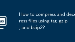TAR, GZIP ? BZIP2? ???? ??? ???? ???? ???