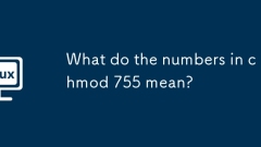 What do the numbers in chmod 755 mean?
