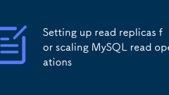 MySQL ?? ??? ???????? Read Replicas ??