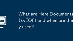 What are Here Documents (