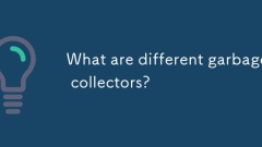 What are different garbage collectors?