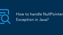 How to handle NullPointerException in Java?