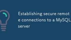 Establishing secure remote connections to a MySQL server