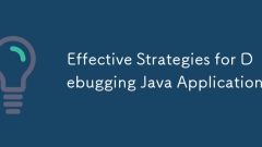 Effective Strategies for Debugging Java Applications