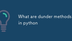 Quelles sont les méthodes Dunder à Python