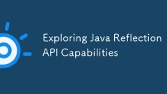 Exploring Java Reflection API Capabilities