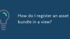 How do I register an asset bundle in a view?