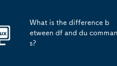 What is the difference between df and du commands?