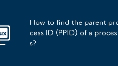 How to find the parent process ID (PPID) of a process?