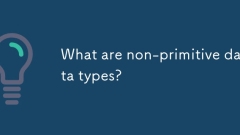 What are non-primitive data types?