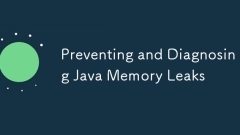 Preventing and Diagnosing Java Memory Leaks