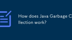 How does Java Garbage Collection work?