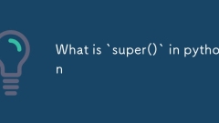 Python에서`super ()`란 무엇입니까?