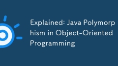 Explained: Java Polymorphism in Object-Oriented Programming