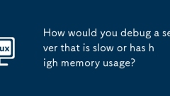 How would you debug a server that is slow or has high memory usage?