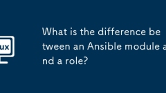 What is the difference between an Ansible module and a role?