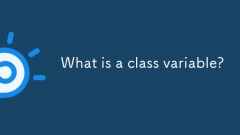 What is a class variable?