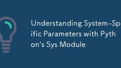 Understanding System-Specific Parameters with Python's Sys Module