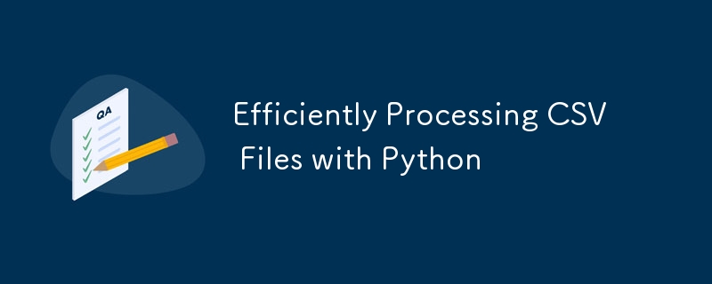 Effiziente Verarbeitung von CSV -Dateien mit Python