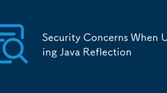 Security Concerns When Using Java Reflection