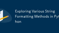 Exploring Various String Formatting Methods in Python