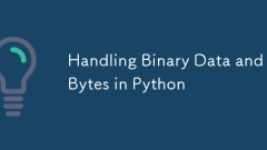 处理Python中的二元数据和字节