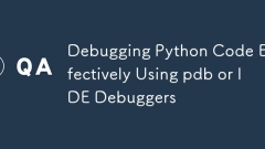 Debugging Python Code Effectively Using pdb or IDE Debuggers