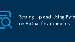 Setting Up and Using Python Virtual Environments