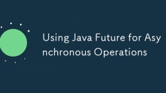 Using Java Future for Asynchronous Operations