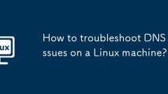 How to troubleshoot DNS issues on a Linux machine?