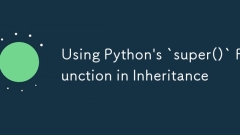 Utilisation de la fonction `super () 'de Python dans l'héritage