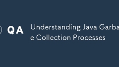 Understanding Java Garbage Collection Processes