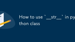 Comment utiliser `__str__` en classe Python